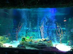 -沈阳海洋探索中心