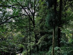 -青城山
