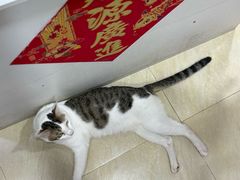 -玉椰林甜品店(创始店)