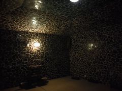 -丽辰新韩式商务SPA·洗浴桑拿·自助餐食