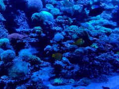 -太平洋海底世界