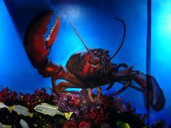 iphone_upload_pic-船奇蒸汽海鲜·闽菜(八市海鲜总店)