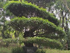 -深圳国际园林花卉博览园