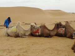 -银肯塔拉沙漠生态旅游景区