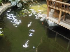 -南宫五洲植物乐园