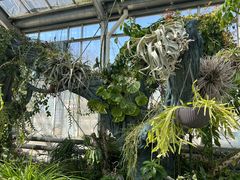 -国家植物园南园