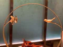 -鹊玥·粤菜小馆(汇智国际商业中心店)