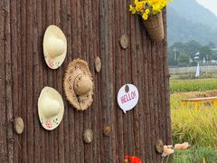-趣飞飞黑麋峰国际滑翔伞基地