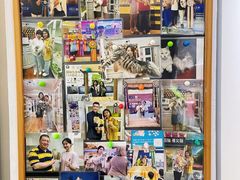 -青奢宠物·青奢猫舍