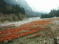 景点-毕棚沟景区