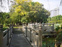-莲湖公园