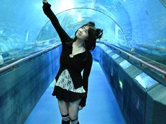 -厦门海底世界