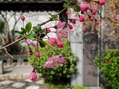 -江宁织造博物馆