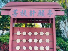 -天坛大佛
