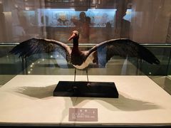 -青藏高原自然博物馆