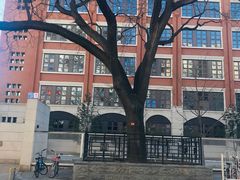 -北京八中游泳馆