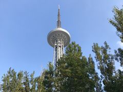 -龙塔