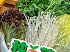 -羊之道草原味道清真餐厅(番禺店)