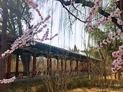 -迎泽公园