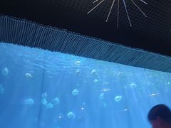 -华夏文旅西安度假区