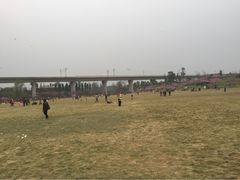 iphone_upload_pic-秀丽东方