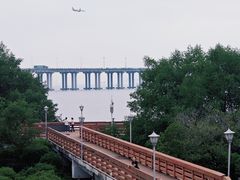 -宝安西湾红树林湿地公园