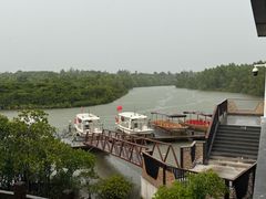 -东寨港红树林旅游区