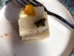 -北京古城老院厉晓麟精致菜