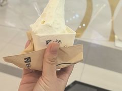 -野人先生Gelato(上海长宁龙之梦店)