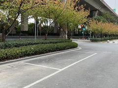 -华夏公园-停车场