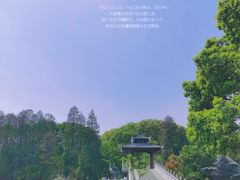 -东湖落雁景区
