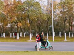 -艾溪湖湿地公园