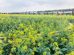 -迪茵湖田家舍生态农场