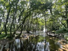 -西溪南古村落景区