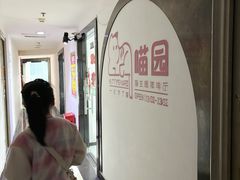 -喵园·猫主题咖啡厅·撸猫·猫咖(国贸店)