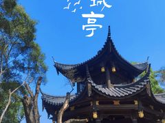 -金鸡山公园