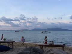 -Coco Tam’s
