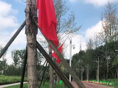 -秀丽东方