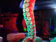 -贝壳梦幻世界