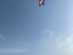 -上海滨江森林公园