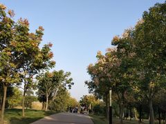 -盘龙城国家考古遗址公园