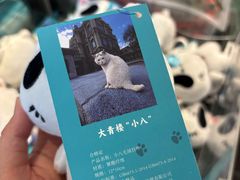 -张学良旧居陈列馆