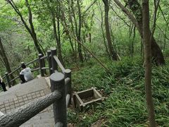 -紫金山山顶公园