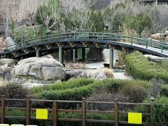 -禅宗少林·音乐大典