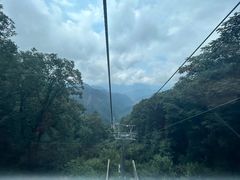 -牛背梁国家森林公园