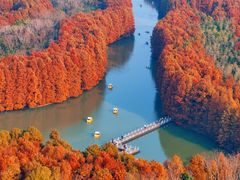 -上海海湾国家森林公园