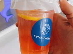 -Cetus coffee鲸鱼座咖啡·拼豆(二仙桥公园店)
