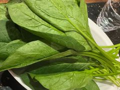 -南门涮肉(通州店)