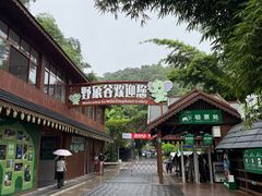 -野象谷景区