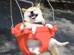-扬州天乐湖嬉乐谷